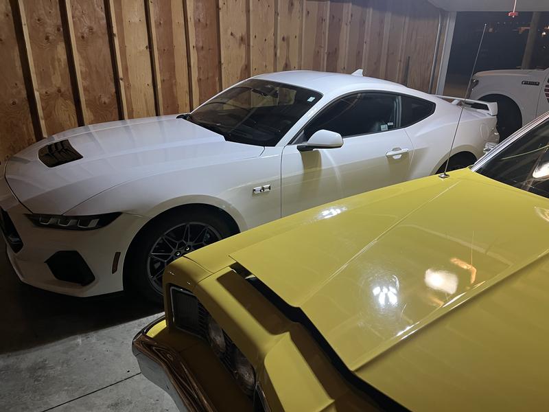 ford mustang 2026 Image - 41263472