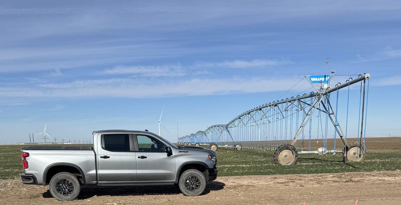 chevrolet silverado-1500-regular-cab 2022 Image - 48514849