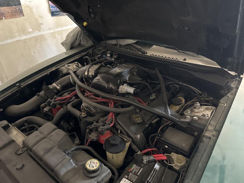 ford mustang 1998 Image - 35866460