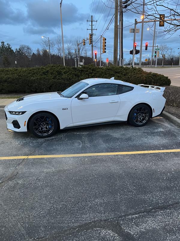 ford mustang 2026 Image - 41263471