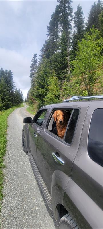 chevrolet hhr 2010 Image - 35239692