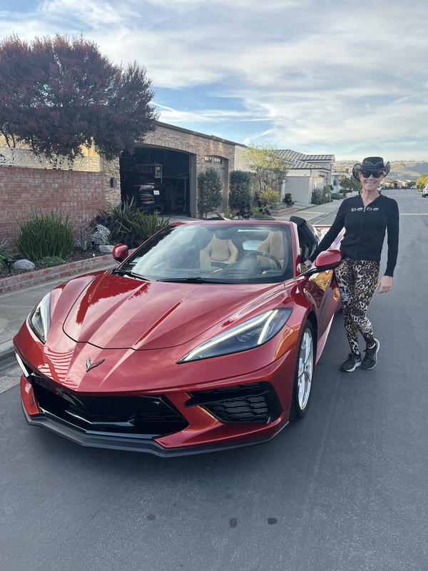 chevrolet corvette 2024 Image - 38803392