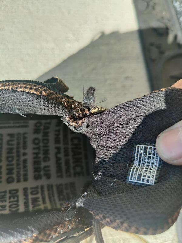 Review Thumbnail Image 1 320597940