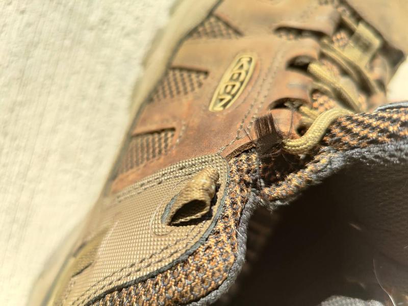 Review Thumbnail Image 2 320597940