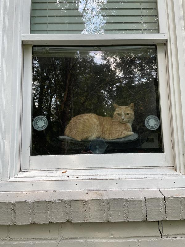 A view of the “nest” from outside!