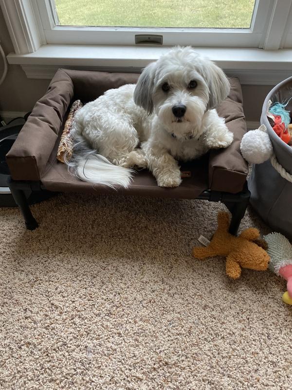 …and when I get tired, I just take a little rest!