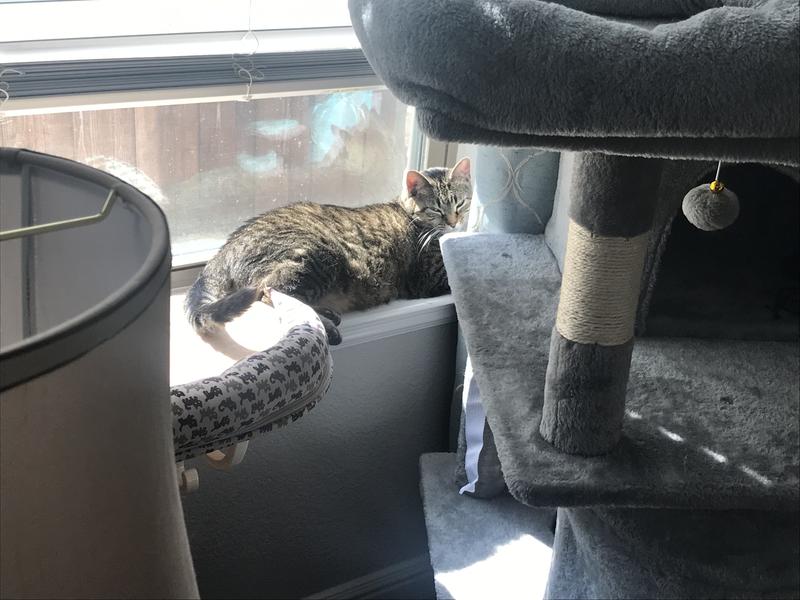 Walking to the beat of her own drum.