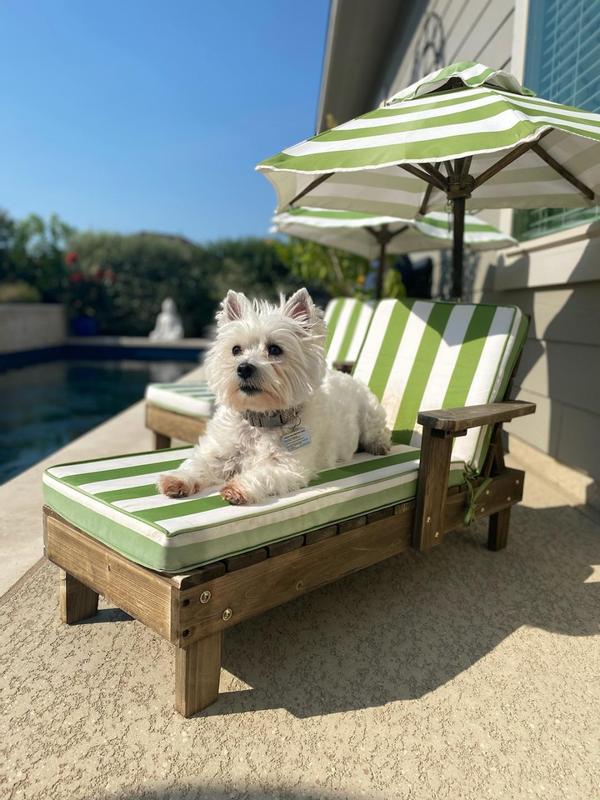 'Working on her tan lines!'