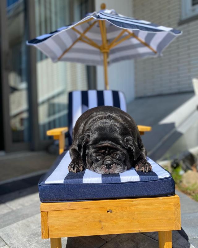 Getting ready for summer