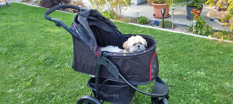 Rosewood roadster pet clearance stroller