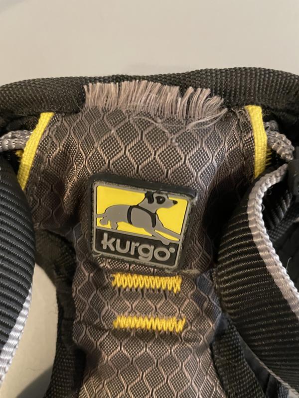 Stitching came apart on back