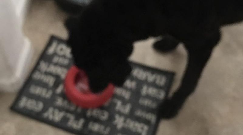 Easy to fill to take on the go