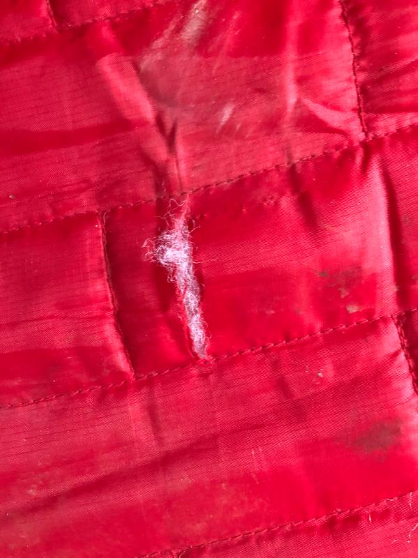 Kurgo travel bed/mat