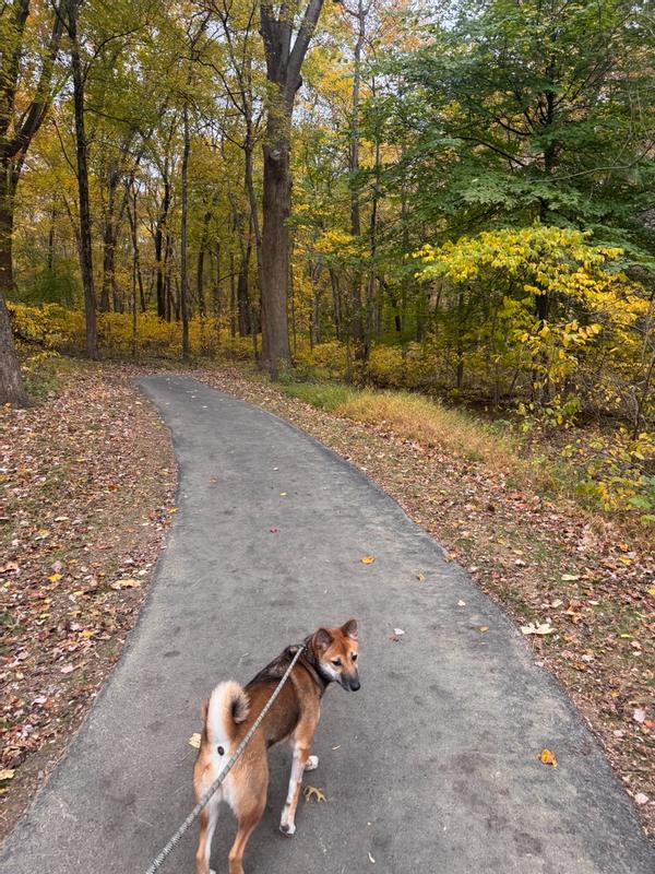 Review Thumbnail Image 0 366545327