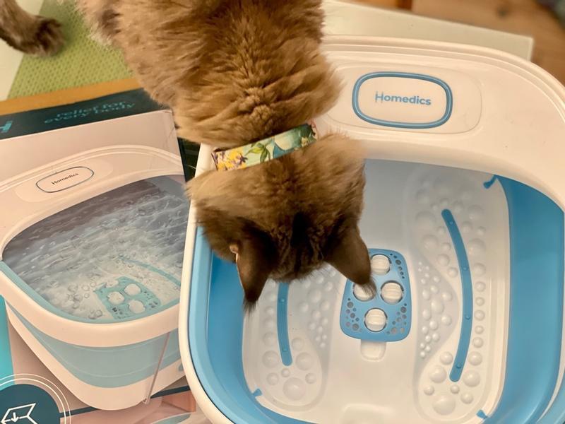 User generated review image 3