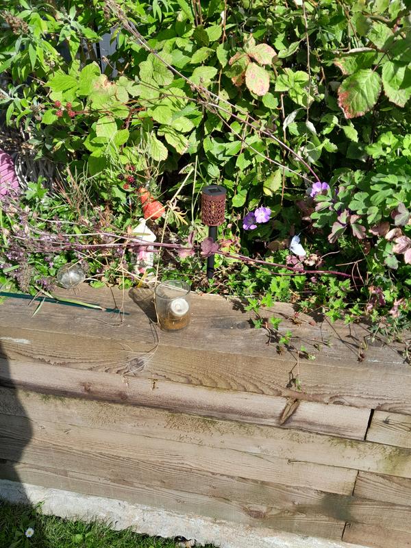 User generated review image 2