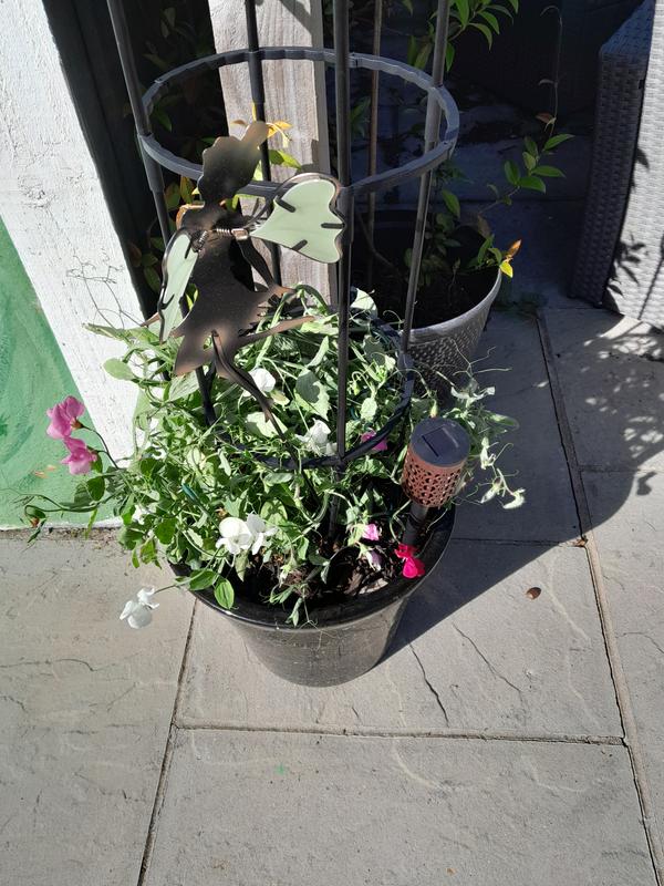 User generated review image 1