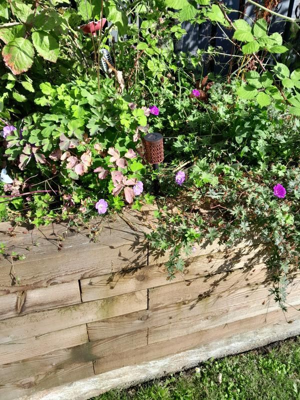 User generated review image 3