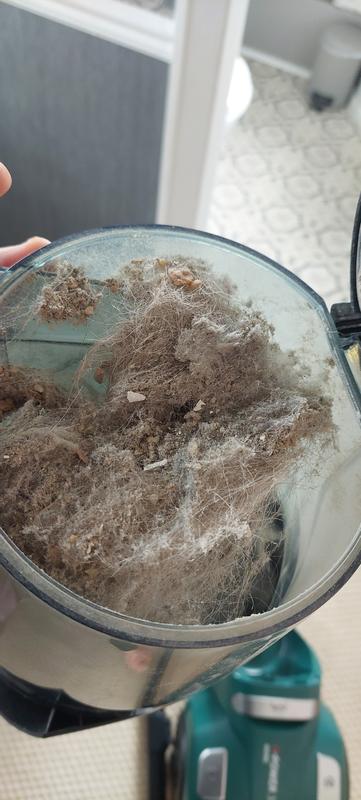 User generated review image 1