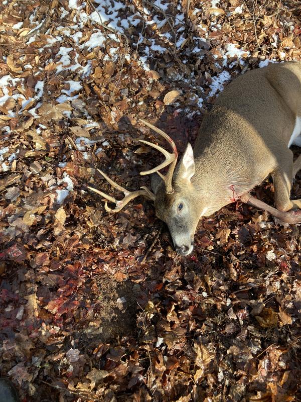 Shot from this stand 2021