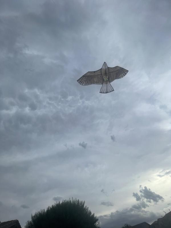 Review Thumbnail Image 2 217632125