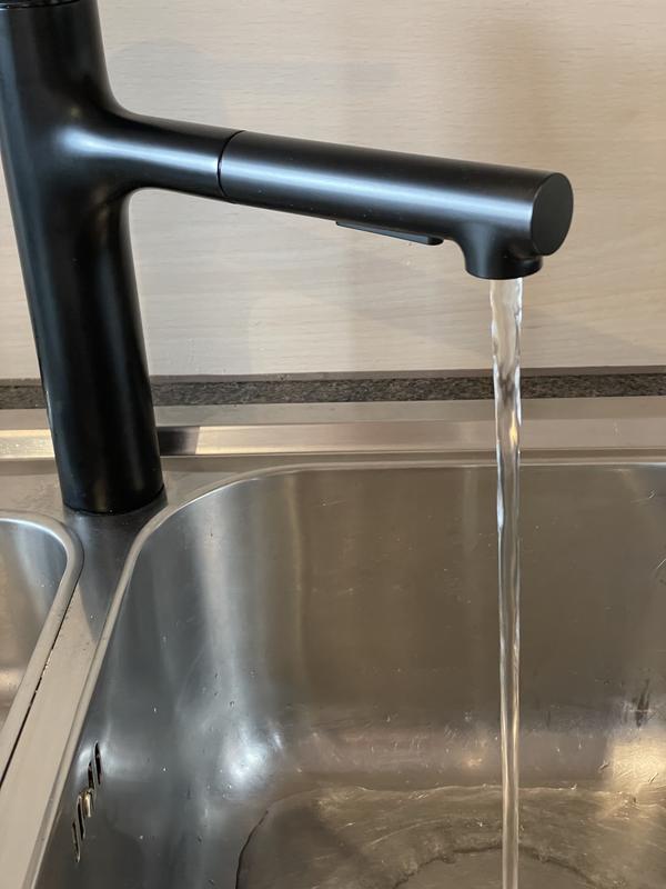 hansgrohe Küchenmischer: Zesis M33, Einhebel-Küchenmischer, 160  