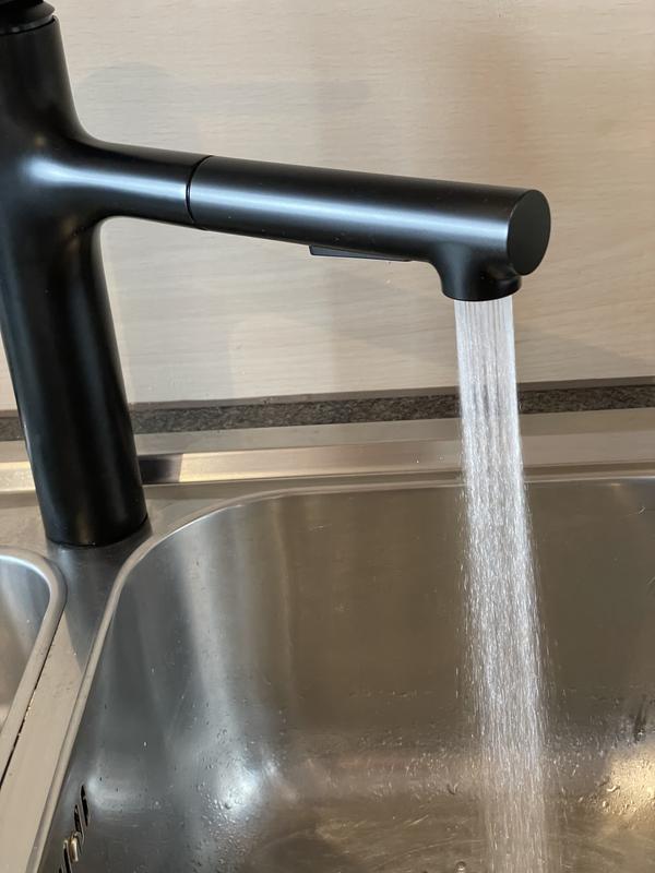 hansgrohe Küchenmischer: Zesis M33, Einhebel-Küchenmischer, 160 
