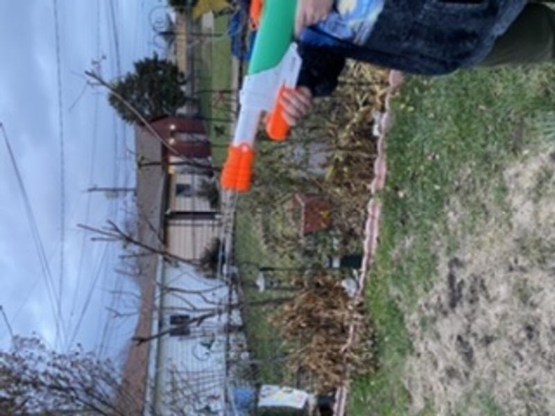 Revisione aperta modale 1 su 3