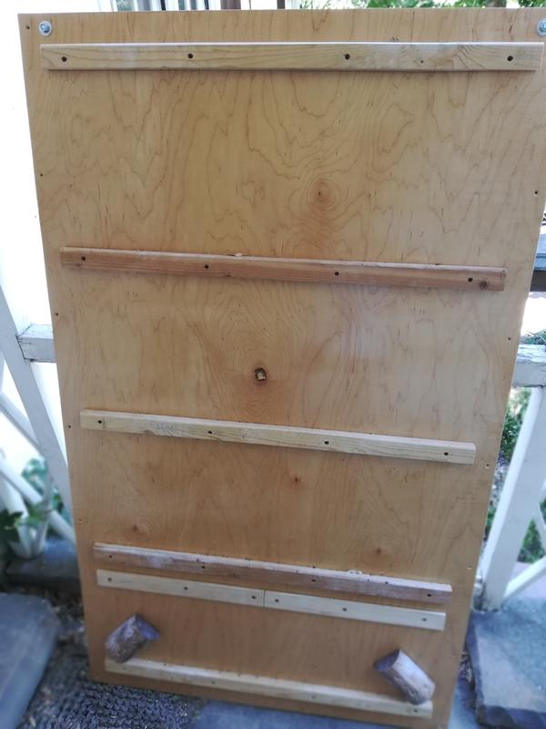 Finished campus board