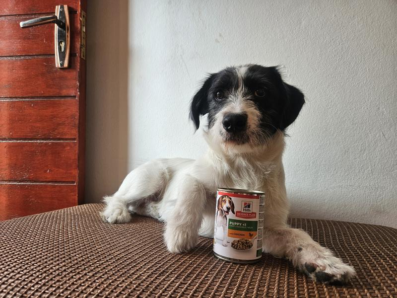 This food makes me clever