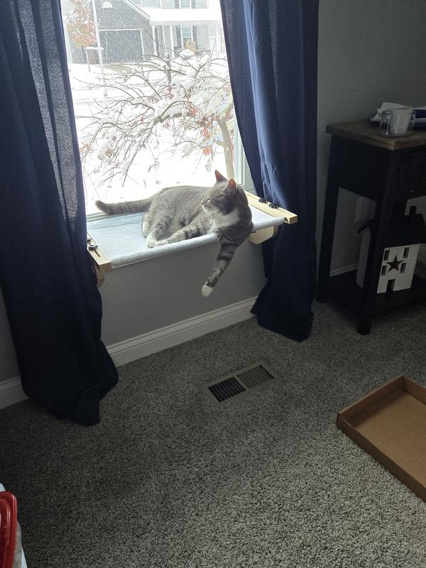 His window bed in my home office where he is when I'm working.