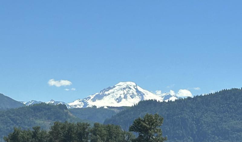 Customer photo 2 of 4. Click to open full size image.