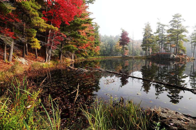 Customer photo 1 of 2. Click to open full size image.