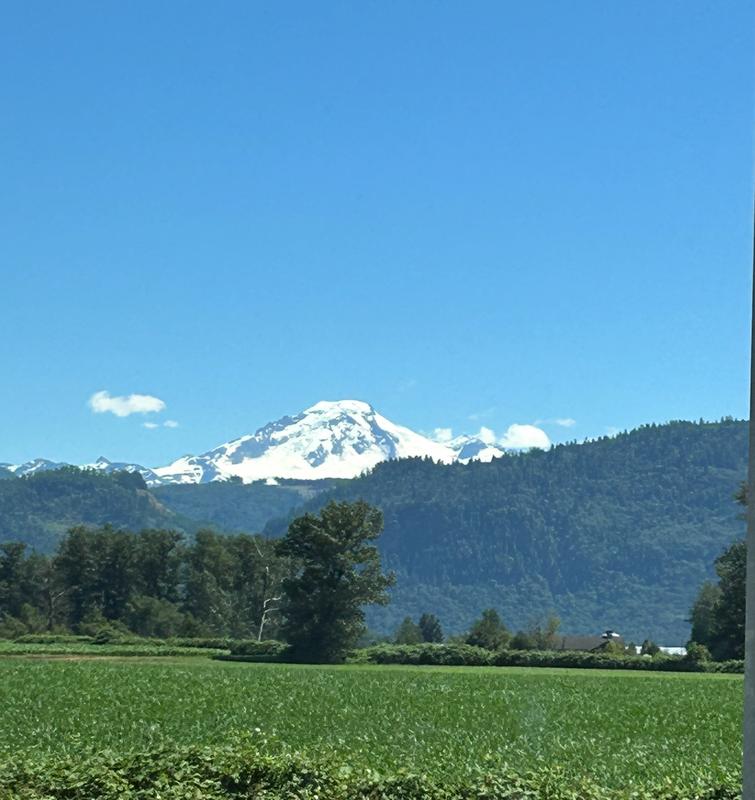 Customer photo 1 of 4. Click to open full size image.