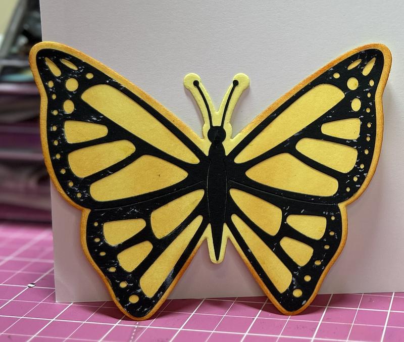 BUTTERFLY - acada92264④ 7swt0394be_capri_3_7cb34c08-