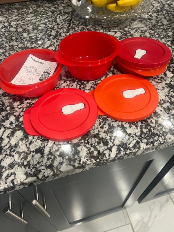 Tupperware CrystalWave 1.5 Cup Rectangular Bowl and Lid 4-piece