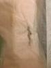 Customer review photo 4