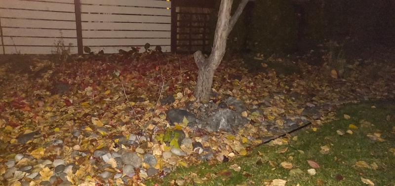 There is river rock under there.