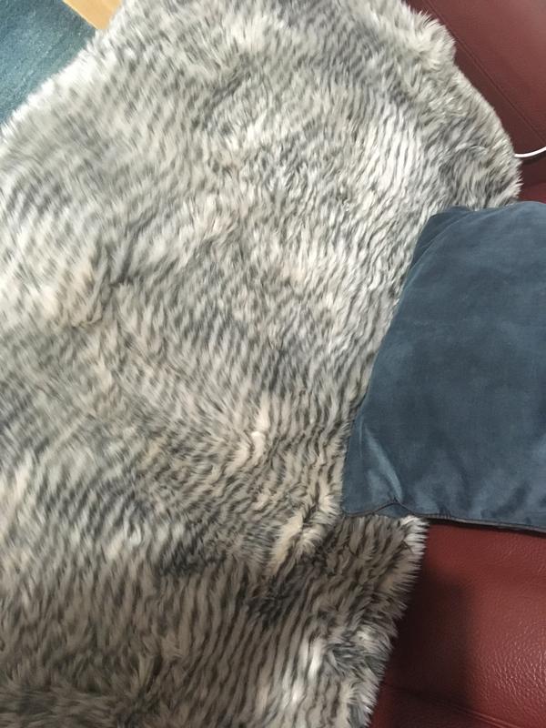 Relaxwell by dreamland zebra print faux fur heated throw hot sale