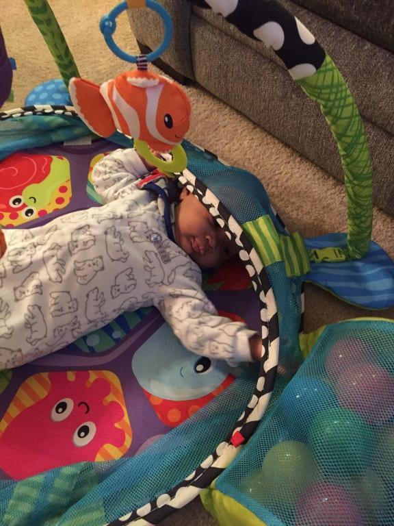 infantino turtle ball pit gym