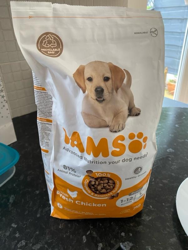 Dry Food Puppy Large Breed Fresh Chicken IAMS