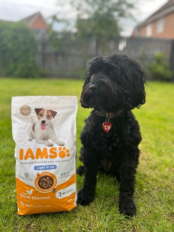 Dry Food Light in Fat Adult All Breed Fresh Chicken IAMS