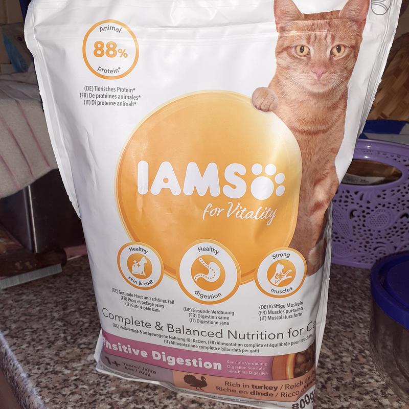 Iams cat outlet food 3kg tesco