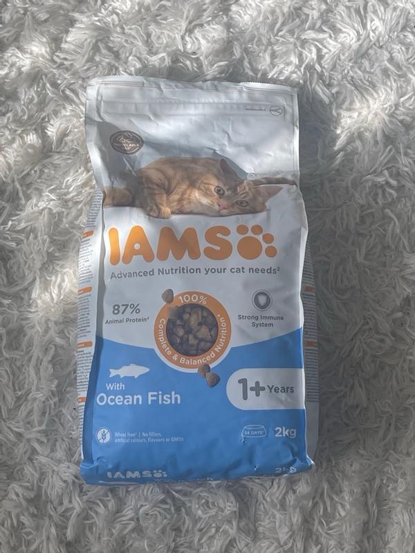 Dry Food Adult Ocean Fish IAMS