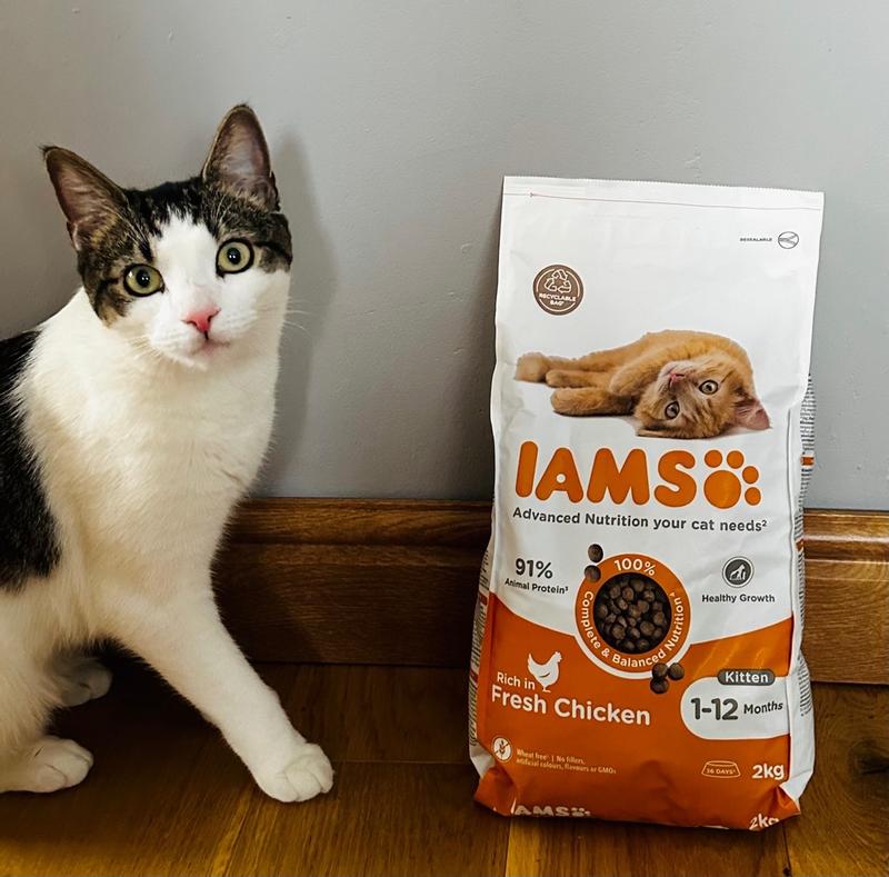 Dry Food Kitten Fresh Chicken IAMS