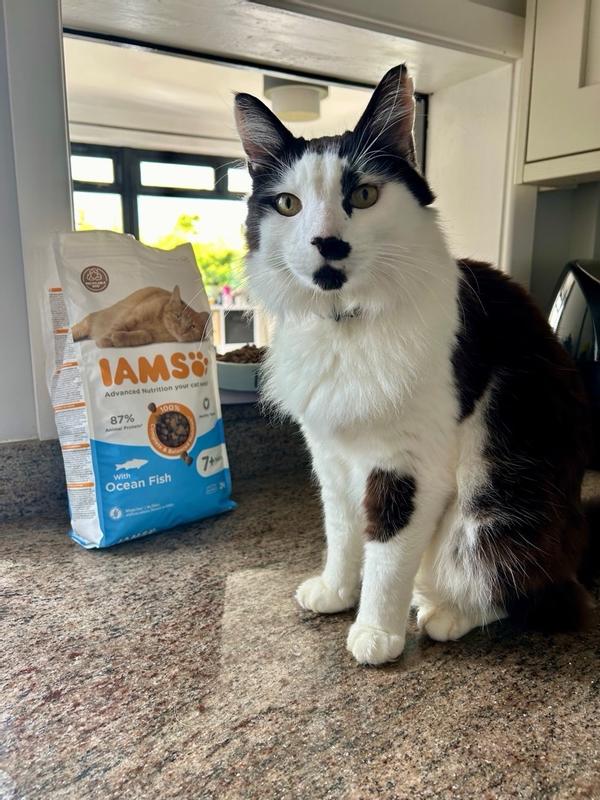 Iams ocean fish and rice best sale