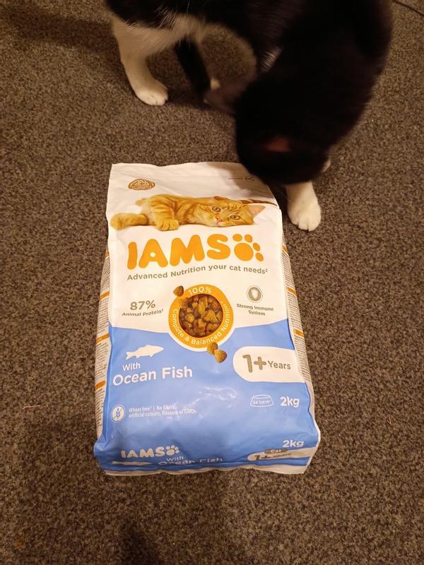 Iams ocean fish hotsell