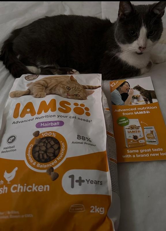 Iams hairball 10kg sale