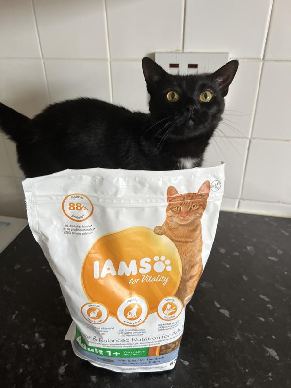 Iams cat shop food 3kg tesco