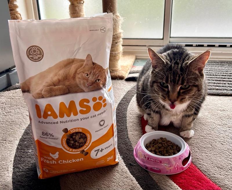 Iams senior cat food asda best sale